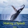 Making a Splash - 2021 - Paperback